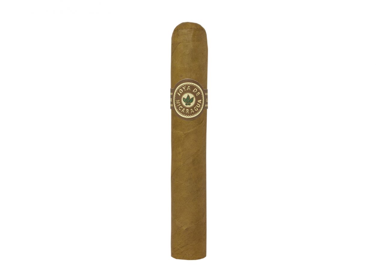 JDN CLASICO ROBUSTO 5X50 (10 CUT)