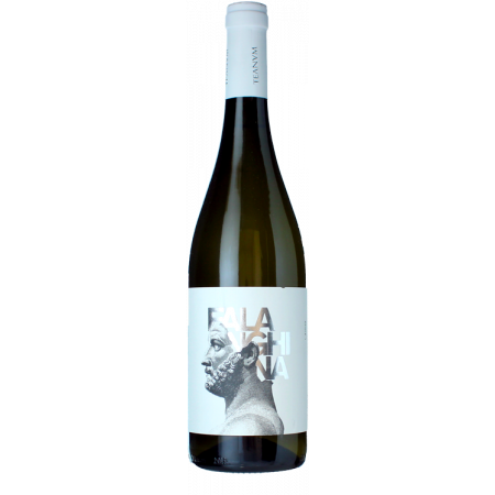 VIN OTRE FALANGHINA IGP PUGLIA TEANUM 0.75L
