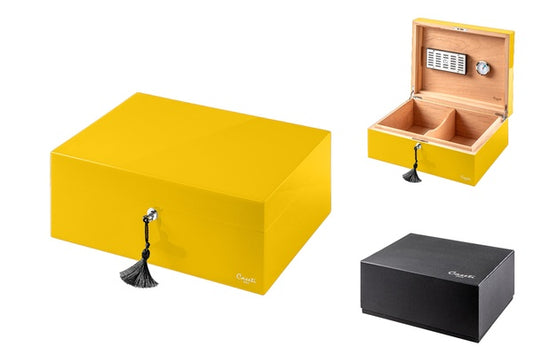 HUMIDOR CASETI PARIS. GALBEN LUCIOS 36.8X27.7X16.6 CM