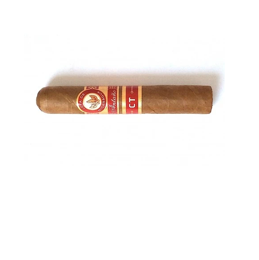 JDN ANTANO CT ROBUSTO (20BUC/CUT)
