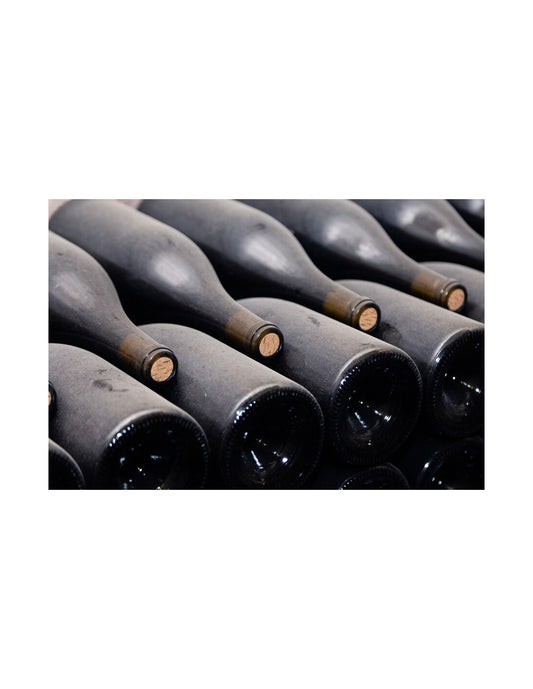 PINOT NOIR 66 MURFATLAR