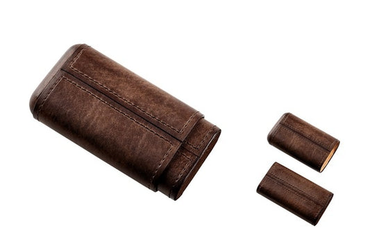 ETUI TRABUC ANGELO 3S CARBON VERDE CU CLESTE PENTRU  BANI