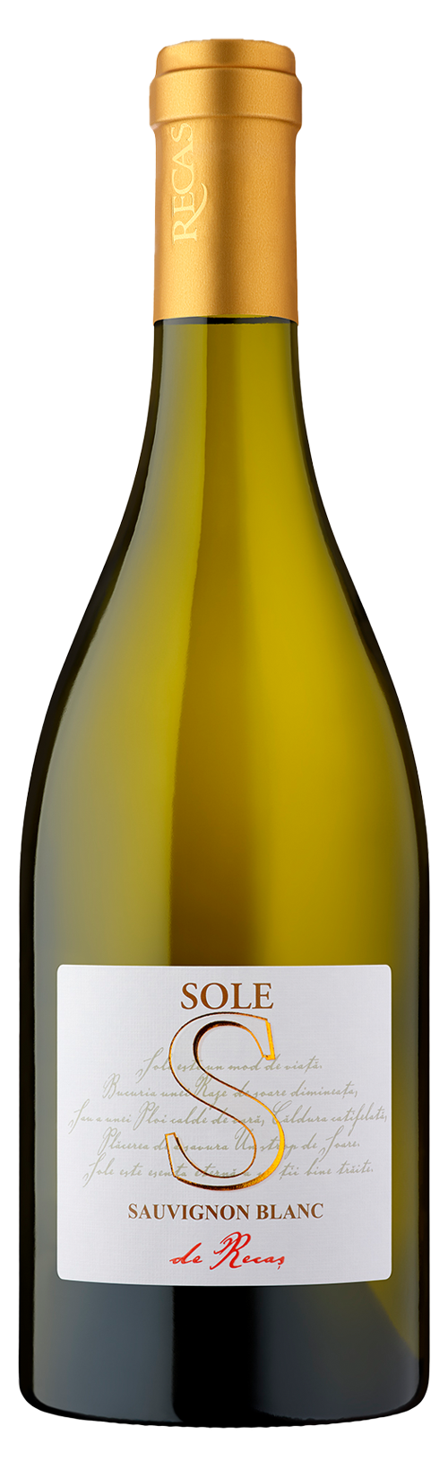 SOLE SAUVIGNON BLANC  75 CL 12.5%