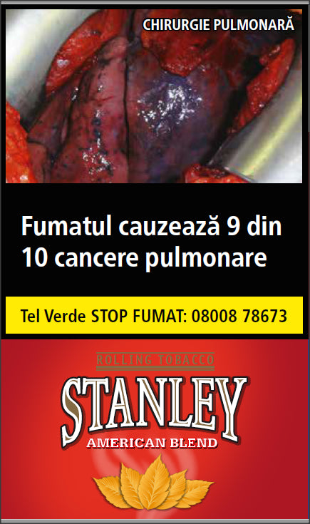 STANLEY AMERICAN BLEND (35 G) + FOITE