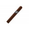 ARLEQUIN ROBUSTO 20S