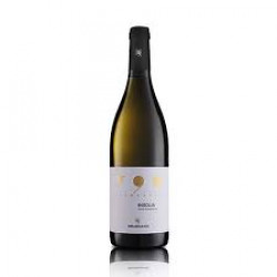 V90 INSOLIA IGT TERRE SICILIANE 0.75L