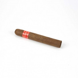 CONDEGA MINI ROBUSTO 25S